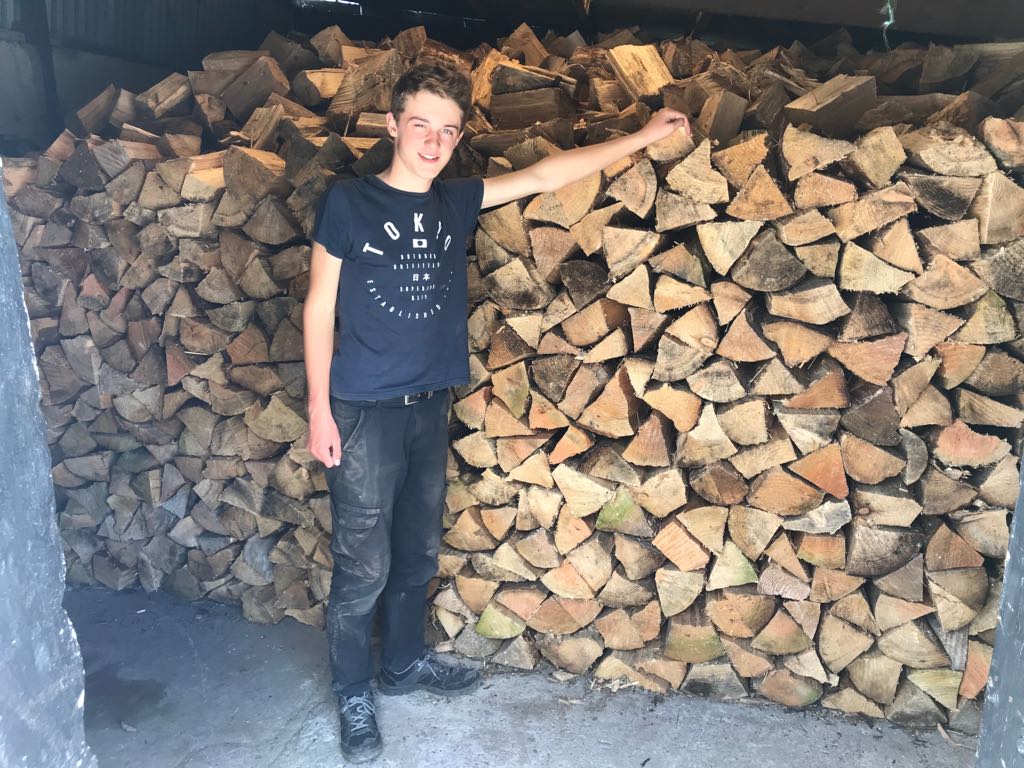 This kept our teenager busy for the summer!