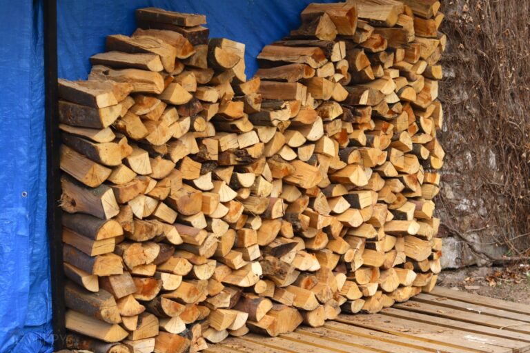 Why It’s a Good Idea to Split your Firewood