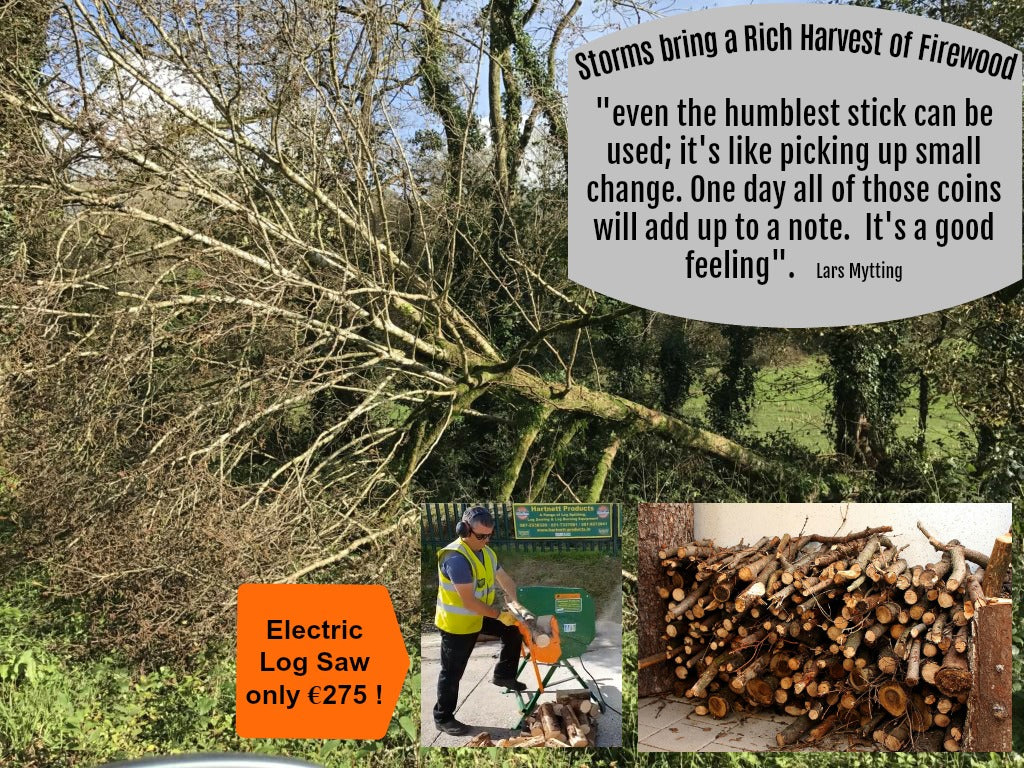 Storm Ophelia brings a rich harvest of firewood