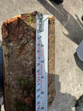 Branch Logger 4-inch 15HP