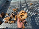 Branch Logger 4 inch PTO Driven with Conveyor