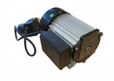 SP3000W Electric Motor