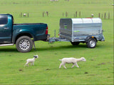 calf trailer, dog trailer, sheep trailer for sale