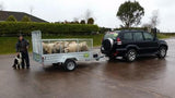 single axle car trailer Hartnett Trailer Sales Cork